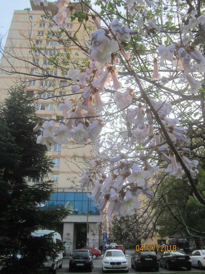 The Best Location Accommodation Bucareste Exterior foto